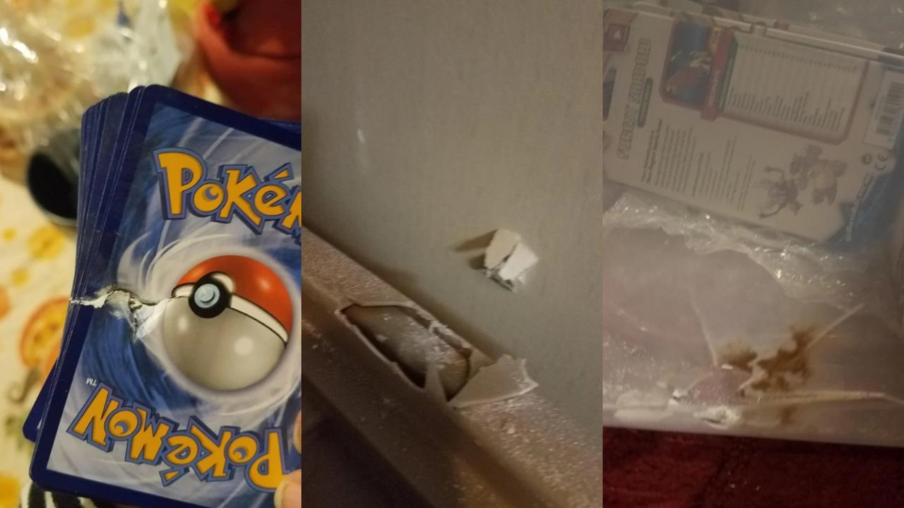 9毫米子彈穿牆被「它」擋下！《寶可夢》化身防彈衣's story cover image