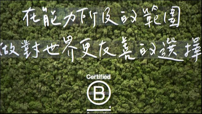 全球永續目標「B型企業」推廣環保.行動落實辦公環境