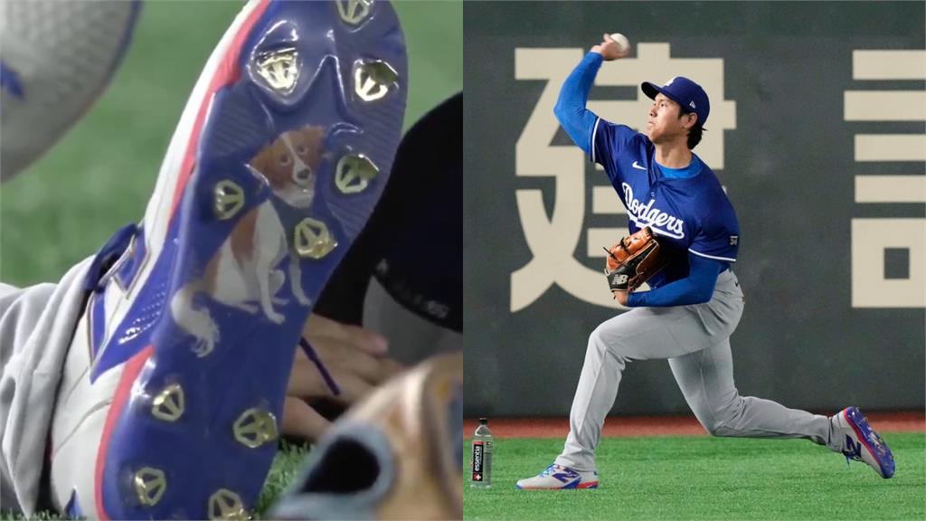 網掀大谷鞋底有DECOY　日本「大谷+愛犬」農田驚艷大聯盟