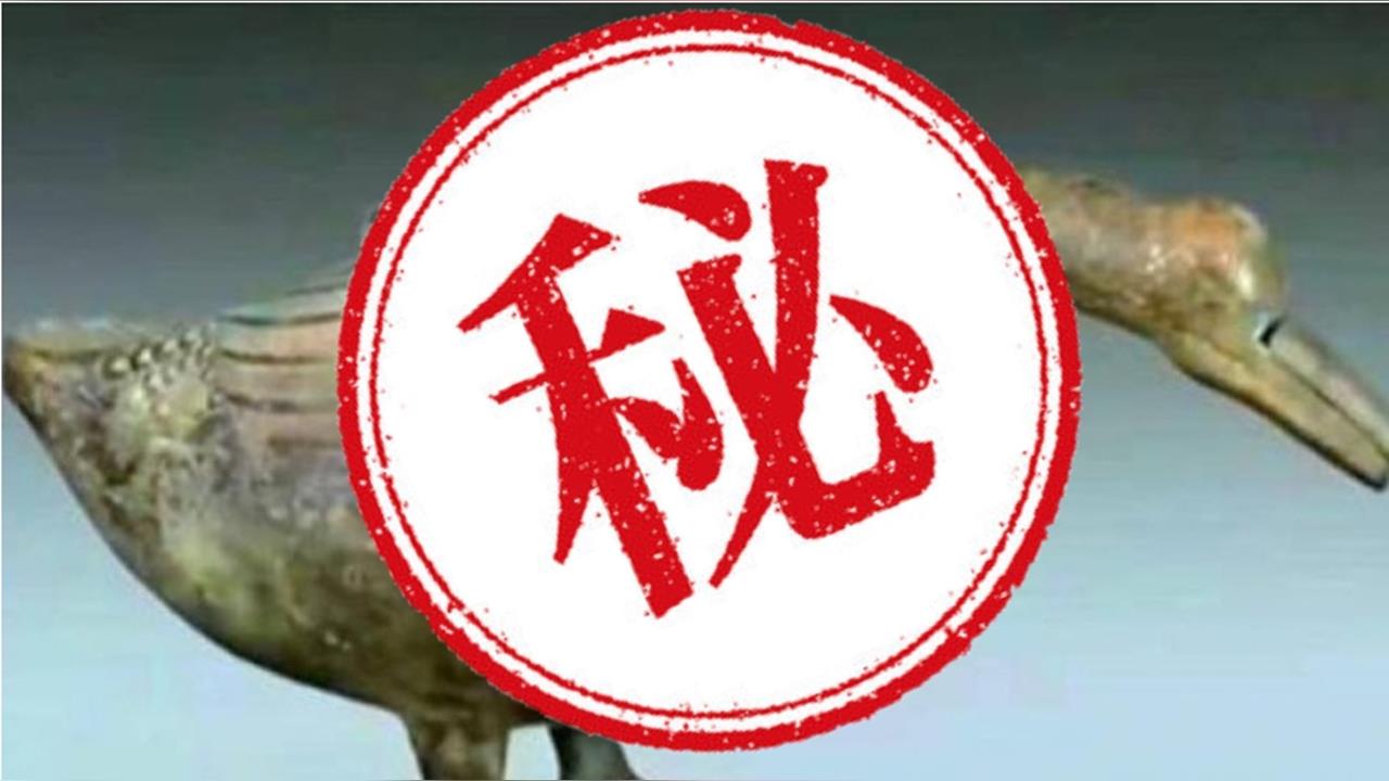 父花百萬買「粗糙禿頭鴨」！專家揭「天價」：你先站稳's OG Image