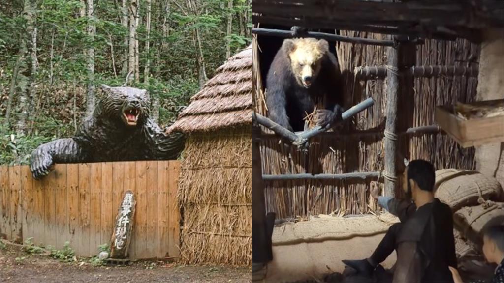 日本爆棕熊吃人！昔最慘「獸害案7死」過程全還原's OG Image