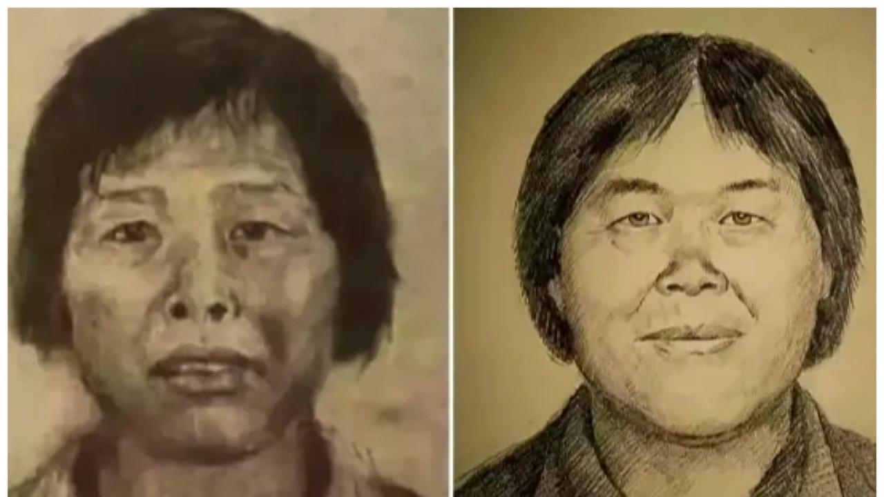 20年拐童懸案終結！人口販子「梅姨」抓到了