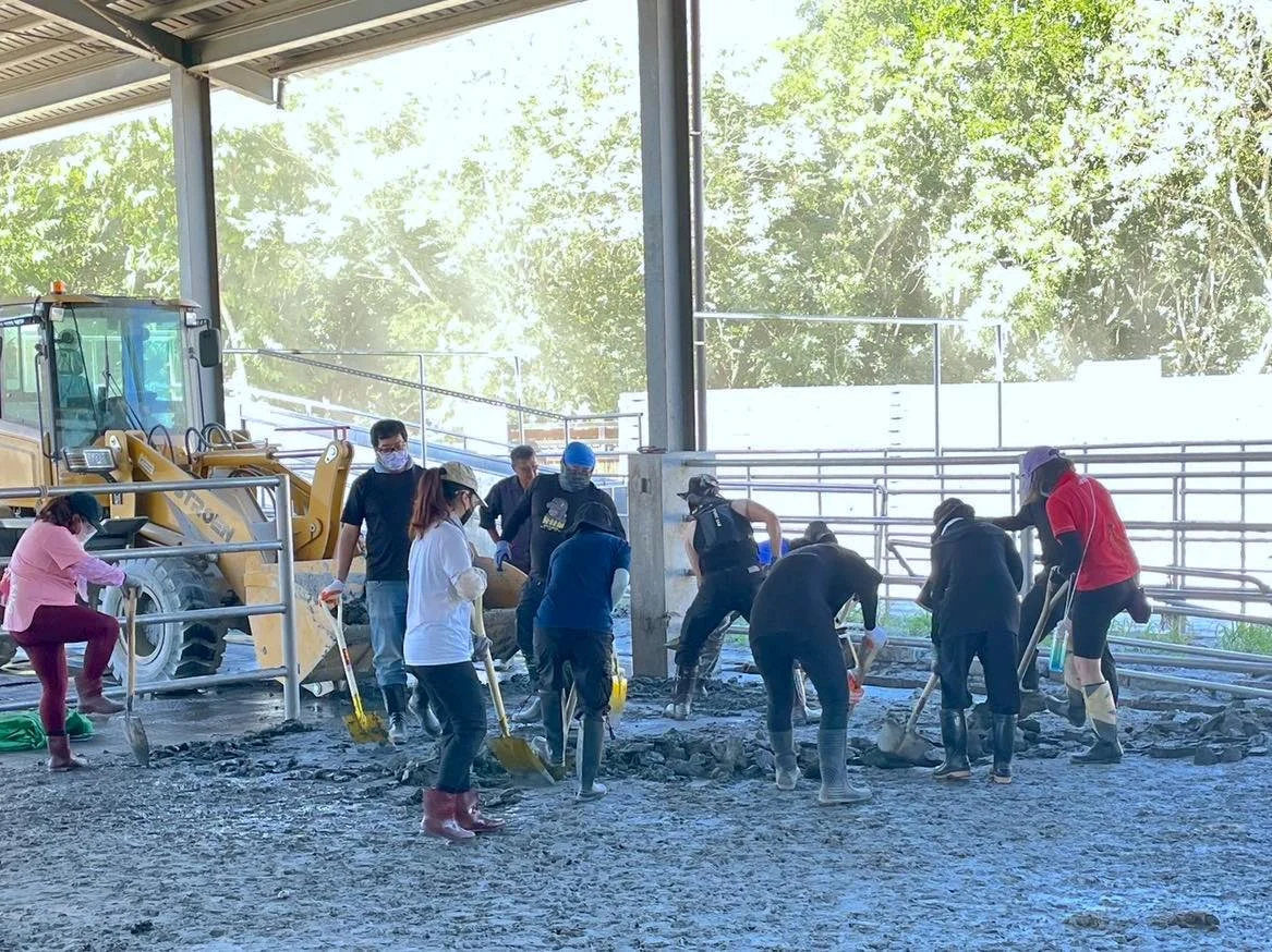 【專題｜花蓮災後】二次災難、假警報與防災的日常's story cover image