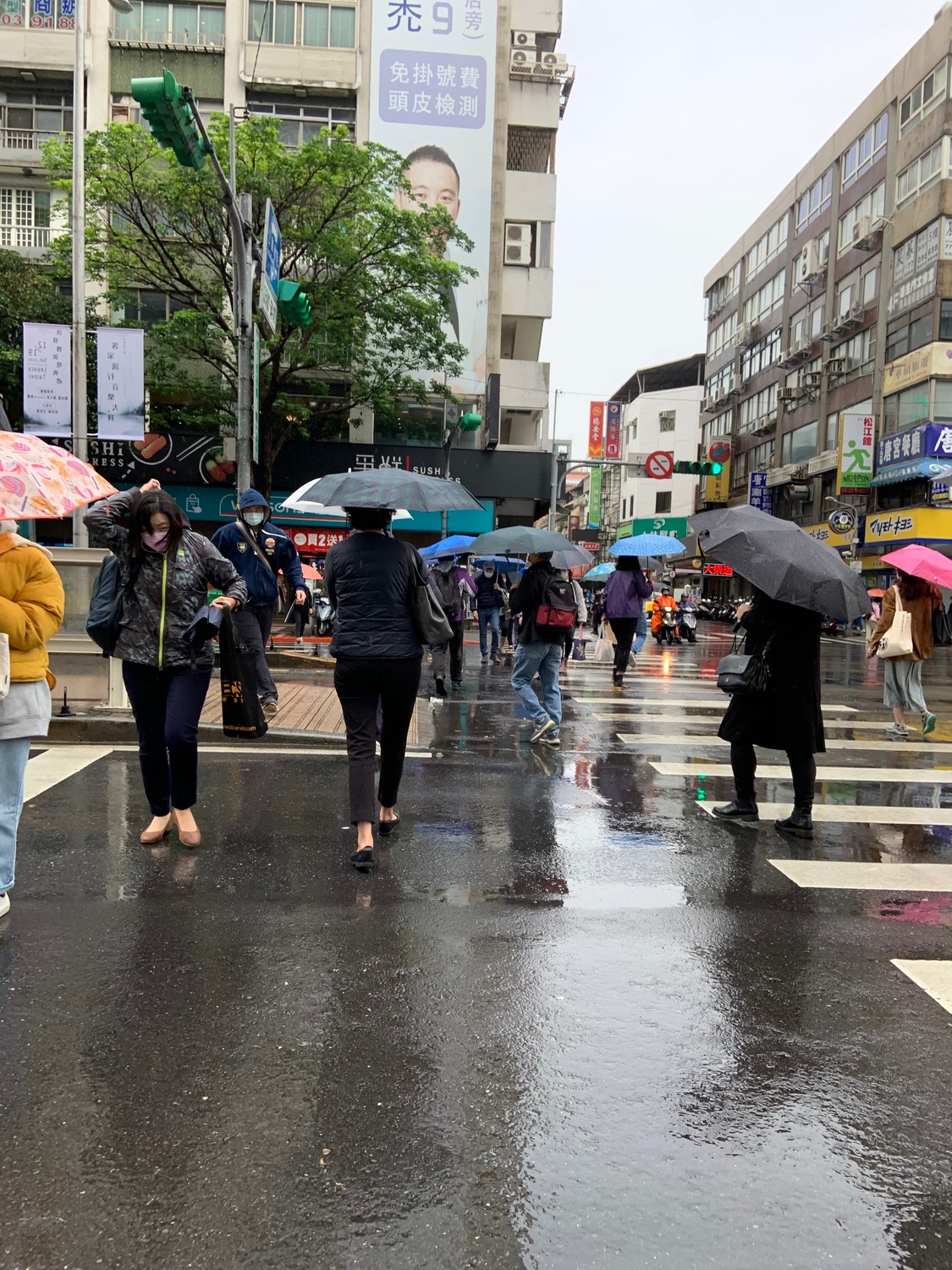 2縣市大雨特報！全台降溫轉冷至下週二晨 北台灣濕冷12縣市防強風