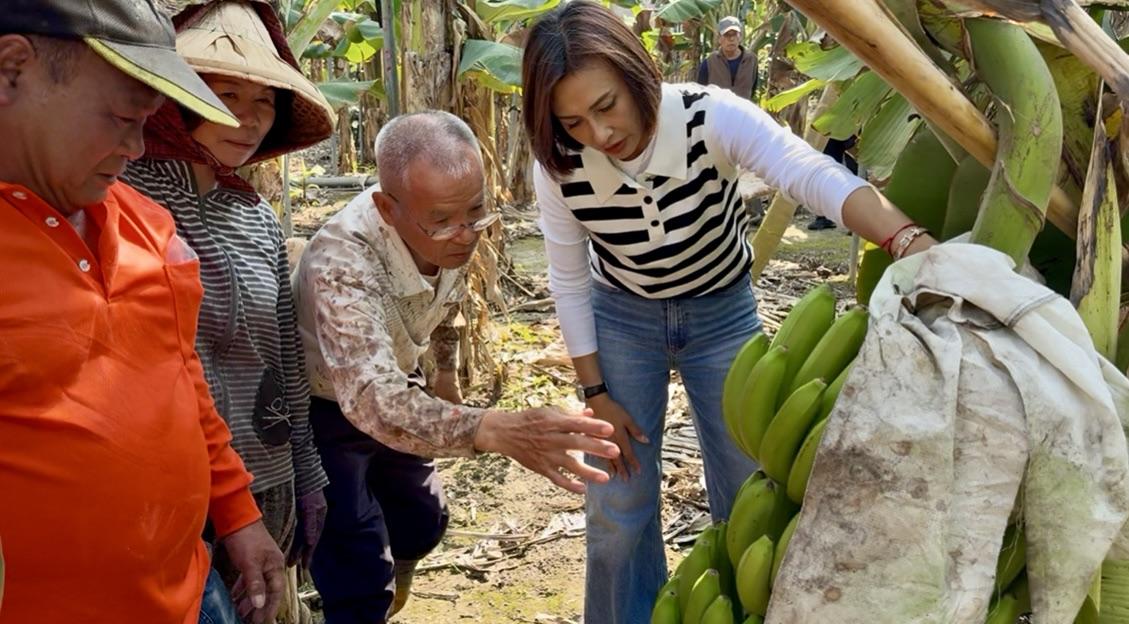 不捨蕉農辛苦遭藍委嘲諷  邱議瑩赴旗山產地籲「勿讓農民心寒」 