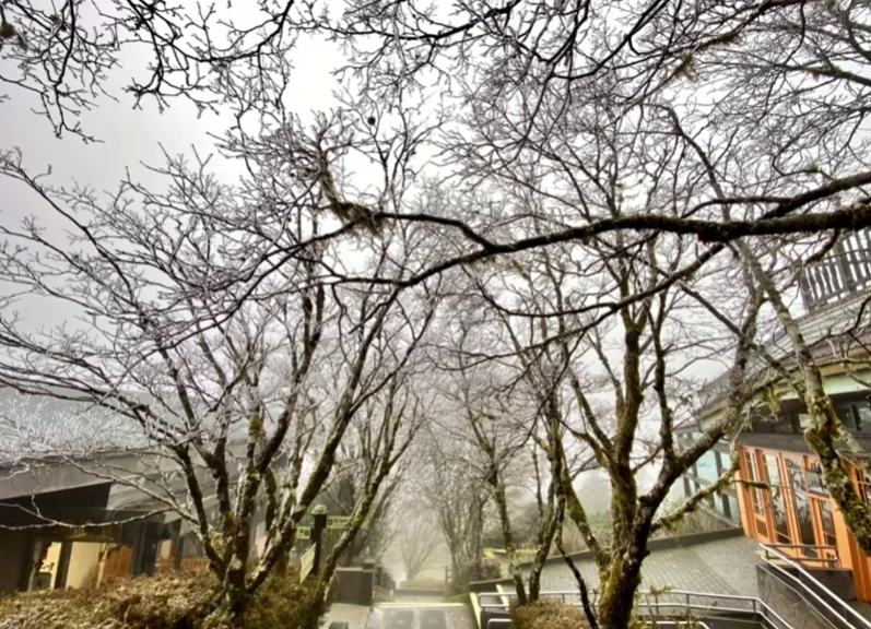 強烈大陸冷氣團強襲！太平山低溫下探0度 清晨園區現雪白霧淞