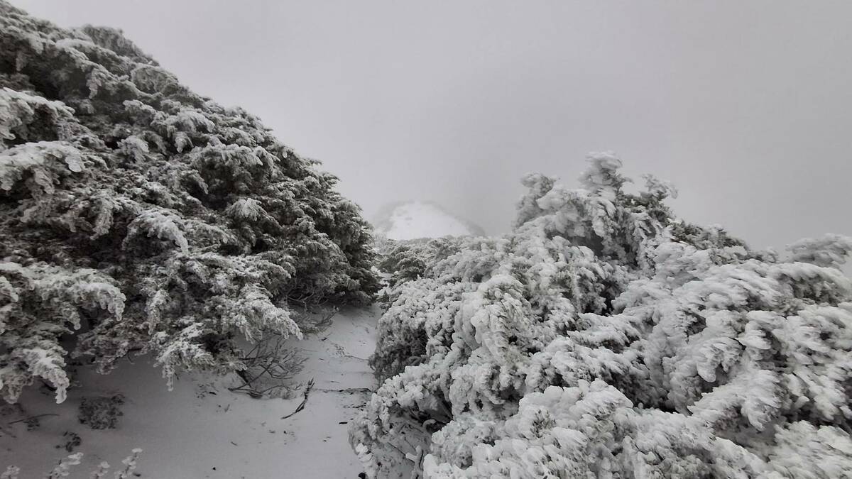 罕見三月雪！氣象署玉山測站：降雪持續累積