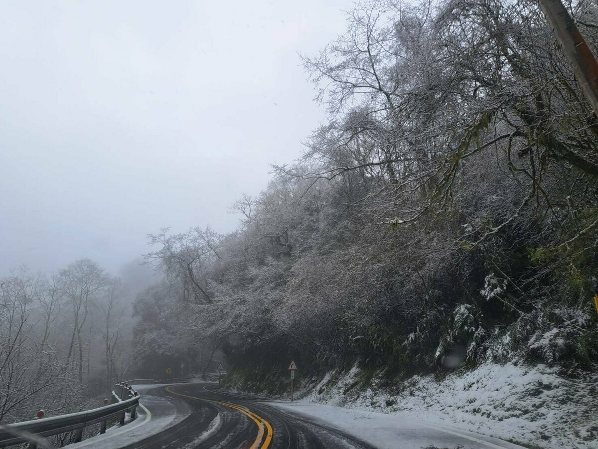 強烈大陸冷氣團發威！太平山＋合歡山  3高海拔路段「限掛雪鍊通行」