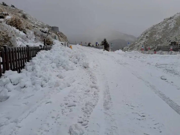 合歡山再下探0度以下！清晨積雪達11.5公分厚 呈現超美雪景