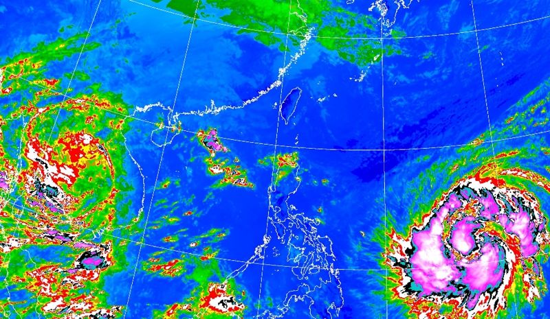 颱風鳳凰「罕見」特殊案例　專家提冷知識：鳳凰不是鳥's story cover image