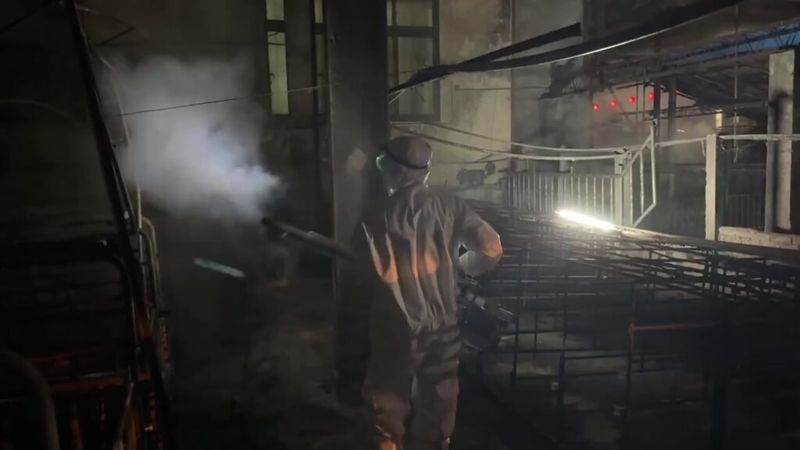 台中案廠仍驗出非洲豬瘟陽性！專家籲不應再養豬　農業局：等中央評估's story cover image