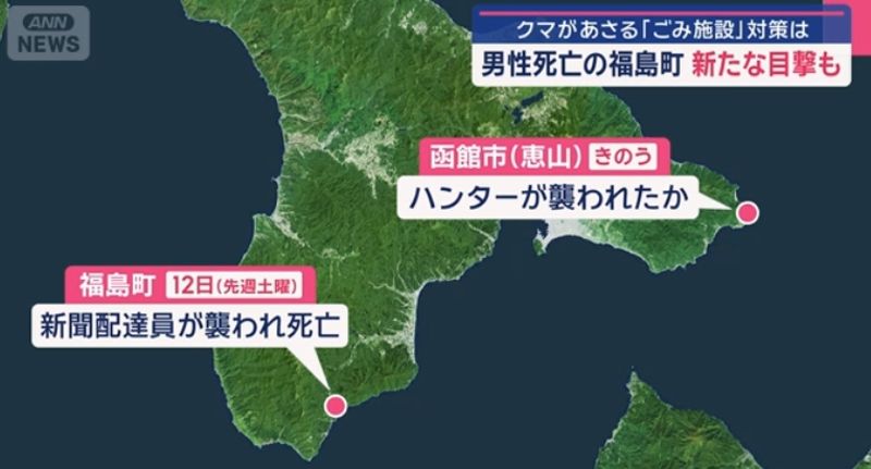 熊多地出沒！北海道獵人失聯疑遭熊傷害　宮城女子高球賽事急喊卡's story cover image