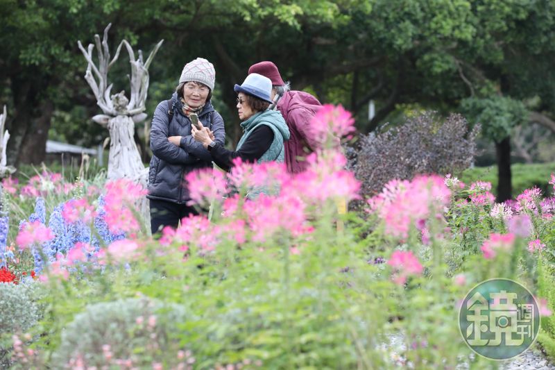 今晨最低溫10.1度　強烈大陸冷氣團達標「後面還有一波」鄭明典曝好消息