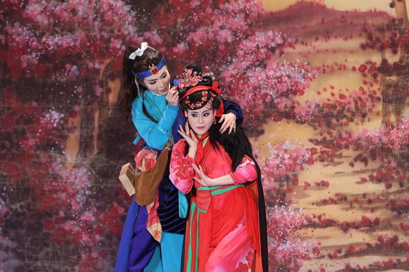 明華園公演出意外！　孫翠鳳女兒「台上癲癇倒地」緊急送醫's story cover image