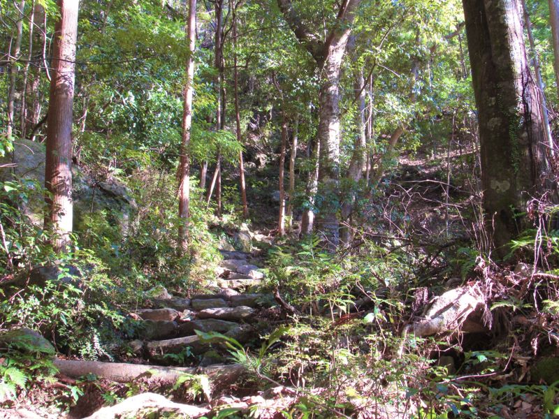 搜救隊員揭山難秘辛　登山者驚吐迷路靈異經歷！如「紅色小女孩」翻版 