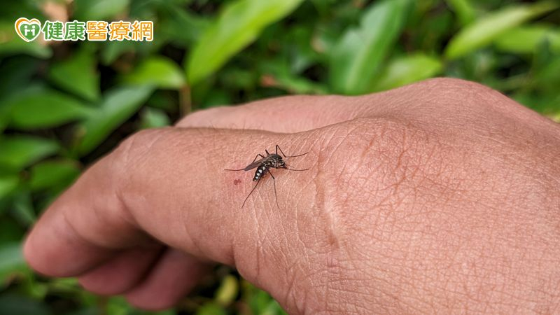 彰化出現本土登革熱！30多歲男無出國史　「發燒未改善」二度就醫確診's story cover image
