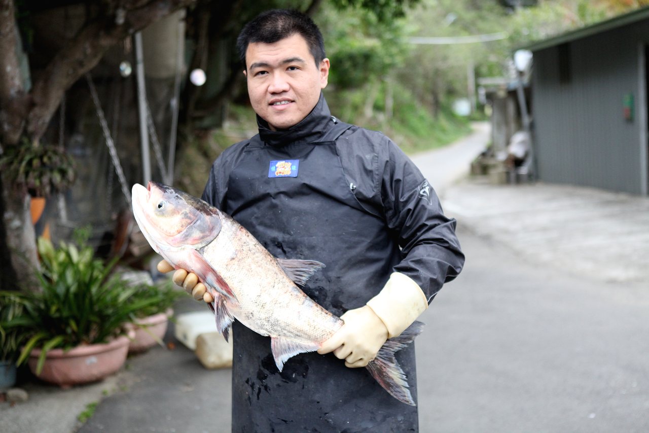 最鮮美的石門活魚，水庫水清無土腥味，不投飼料不用藥，魚片分切開拓市場