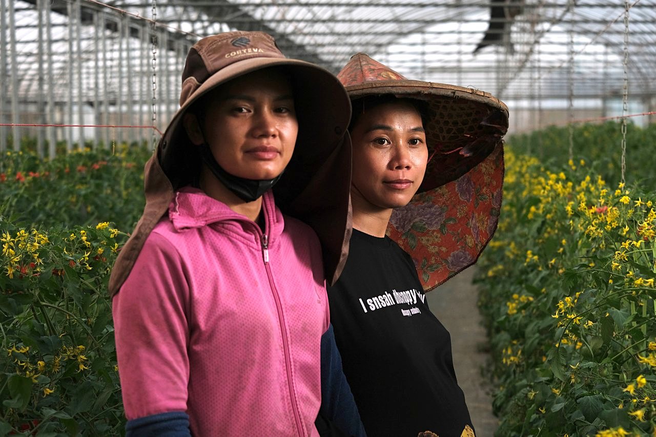 在歧視裡長出勇氣，武氏香擺脫越南新娘標籤，建溫室扛風險，在台灣土地當家's story cover image