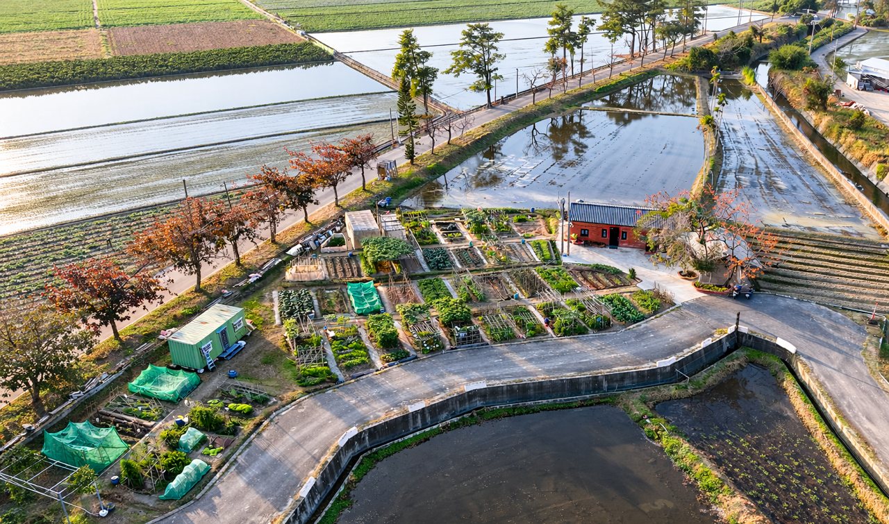 92 歲種菜導師，第二人生比首刷還精采！嘉義二分一之農場，共享土地共老共好