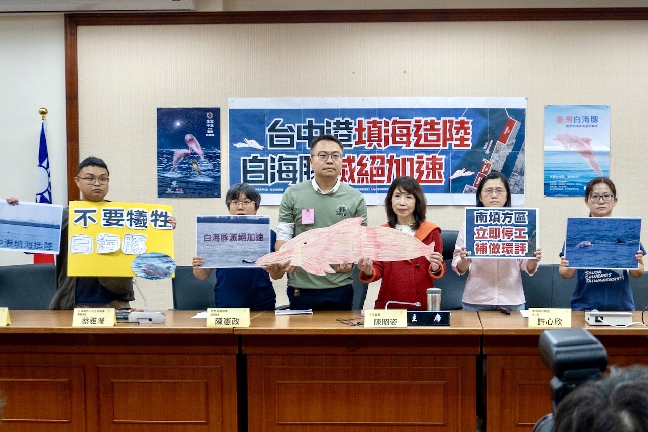 在白海豚重要棲地「填海造陸」，開發卻免環評？環團要求停工，重啟調查
