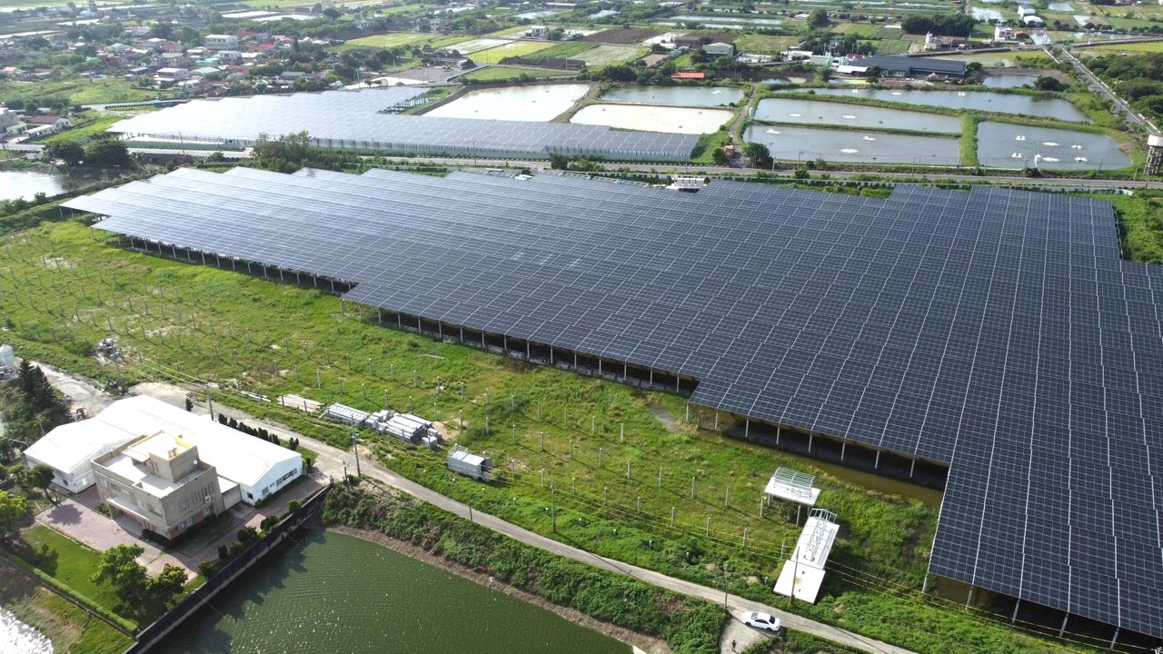 漁電脫鉤》「以漁為本」到「電寄生漁」，養殖青年剖析漁電困局與解方