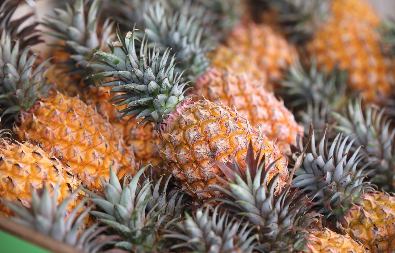 台灣鳳梨拿到美國門票，有助提升全球知名度，檢疫條件有利，冷鏈升級迎戰長途運輸's OG Image