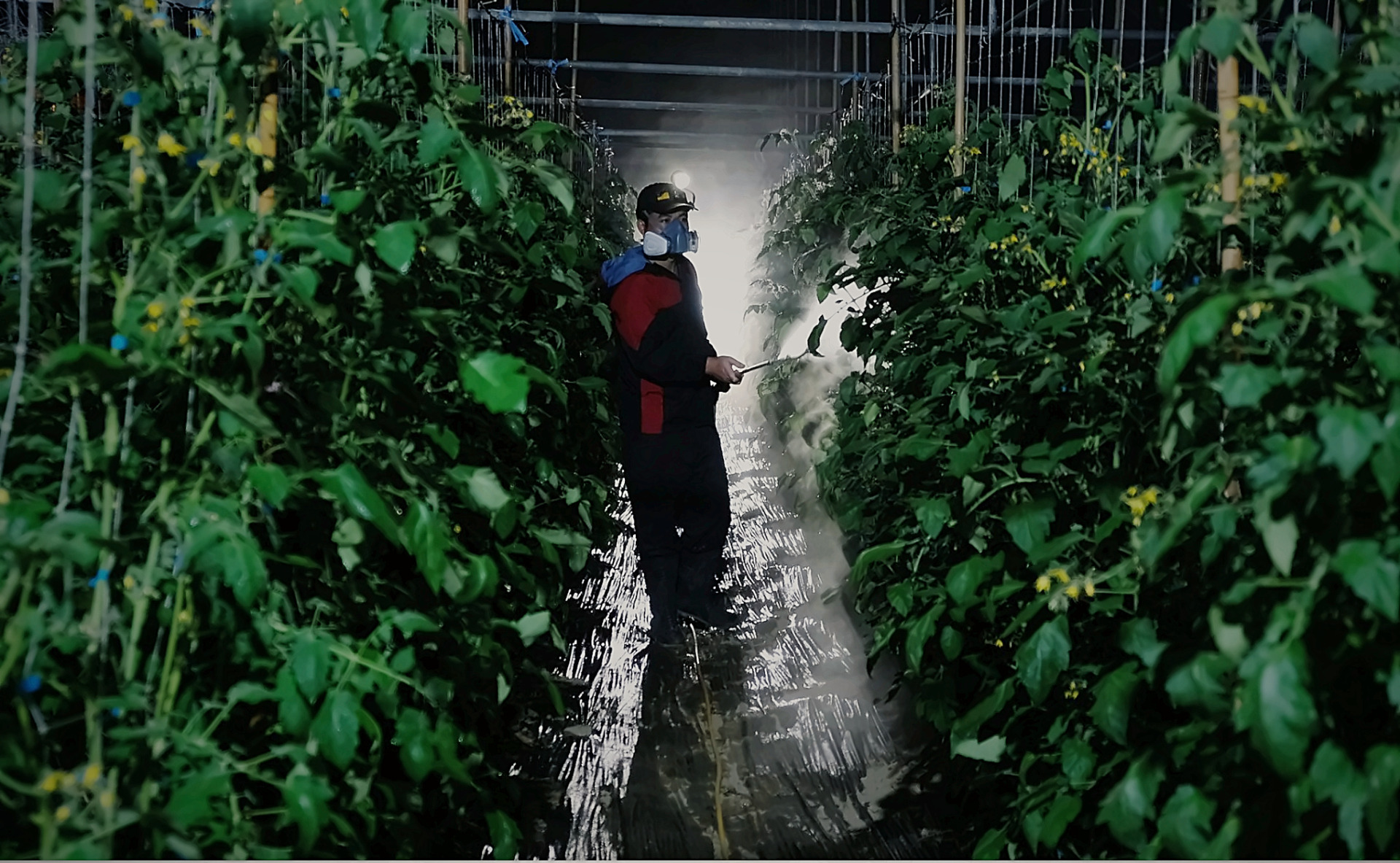 05 違法的必然》移工出國即負債，制度僵化催生地下市場's story cover image