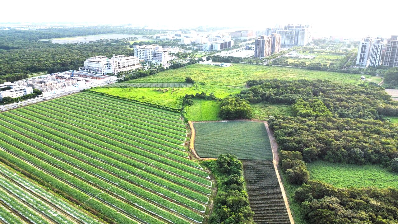 沙崙近千公頃農地開發踩煞車，台南市府撤案、國科會變更地目「不予通過」