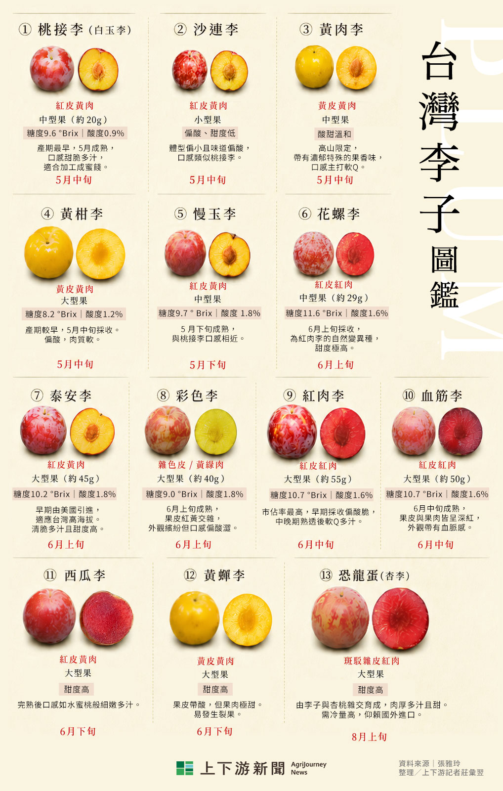 李子圖鑑》從經典紅肉到新潮恐龍蛋，高山西瓜李、黃蟬李，軟Q黃肉李，桃李真的滿天下's story cover image