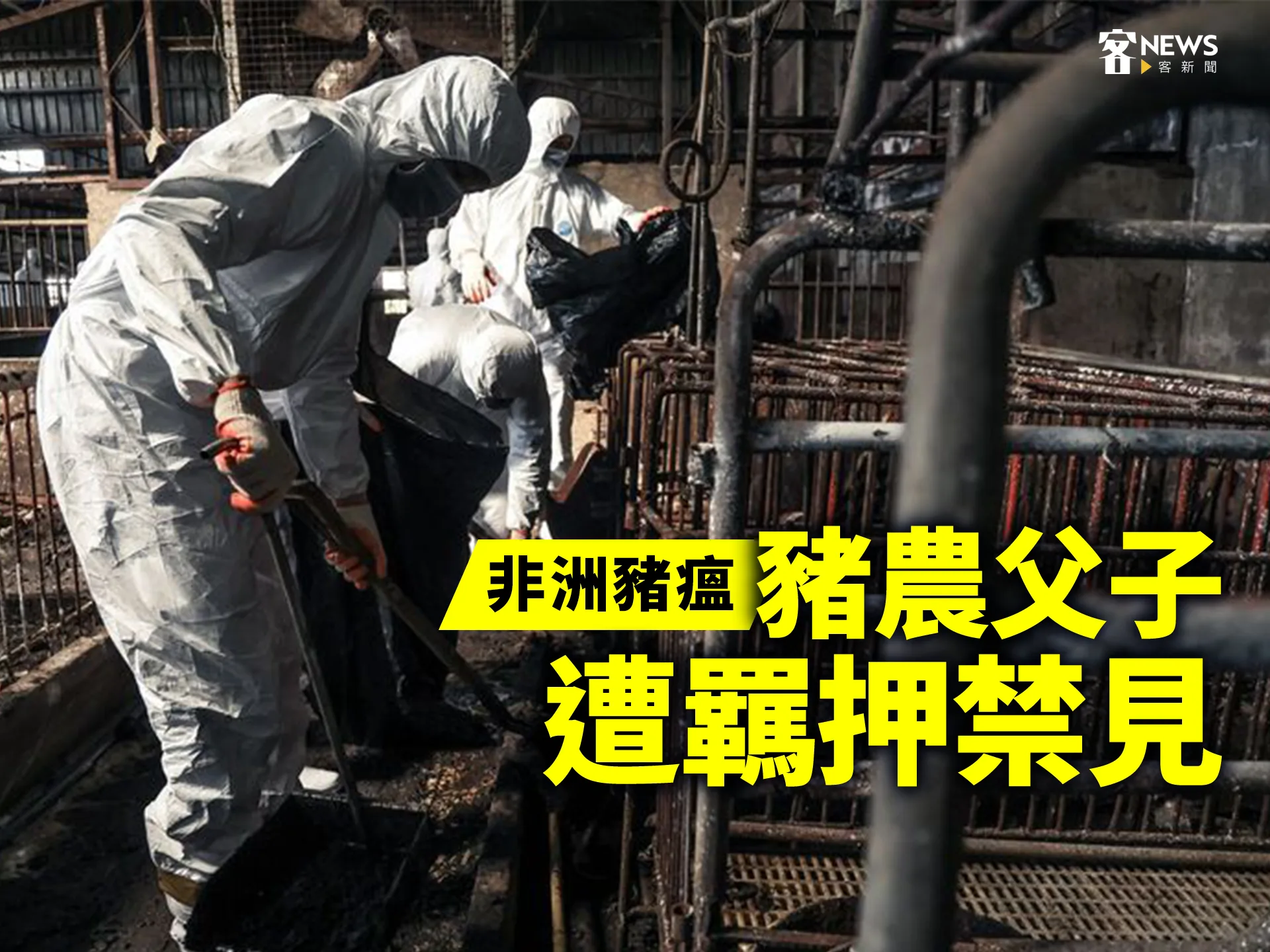 非洲豬瘟/豬農父子 遭羈押禁見's OG Image